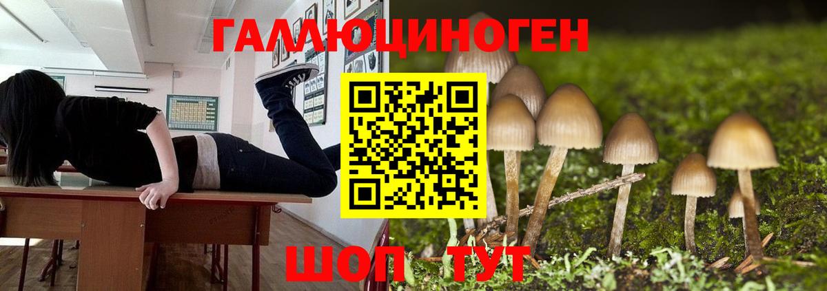 Галлюциногенные грибы мицелий Торжок