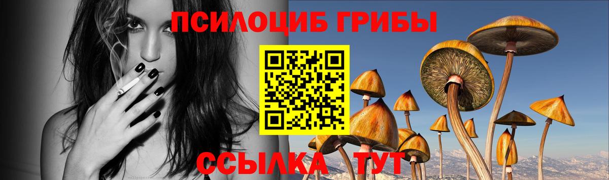 Псилоцибиновые грибы MAGIC MUSHROOMS  Вход с VPN  Торжок 